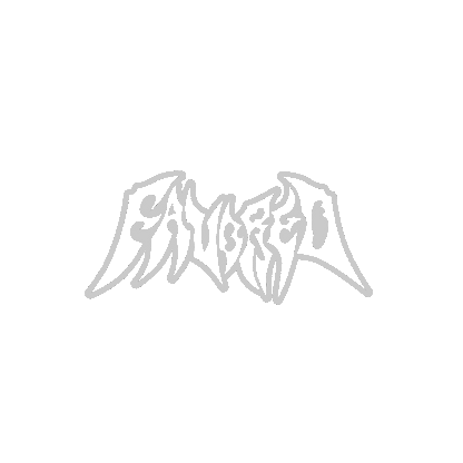 terror slap